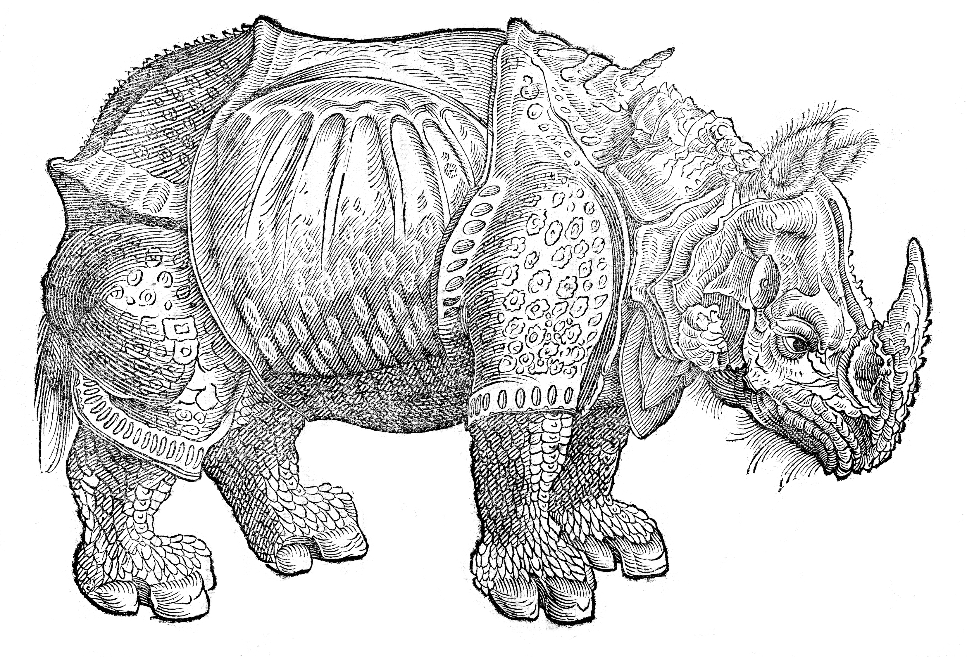Fragmentos del Bestiario – Juan José Arreola
