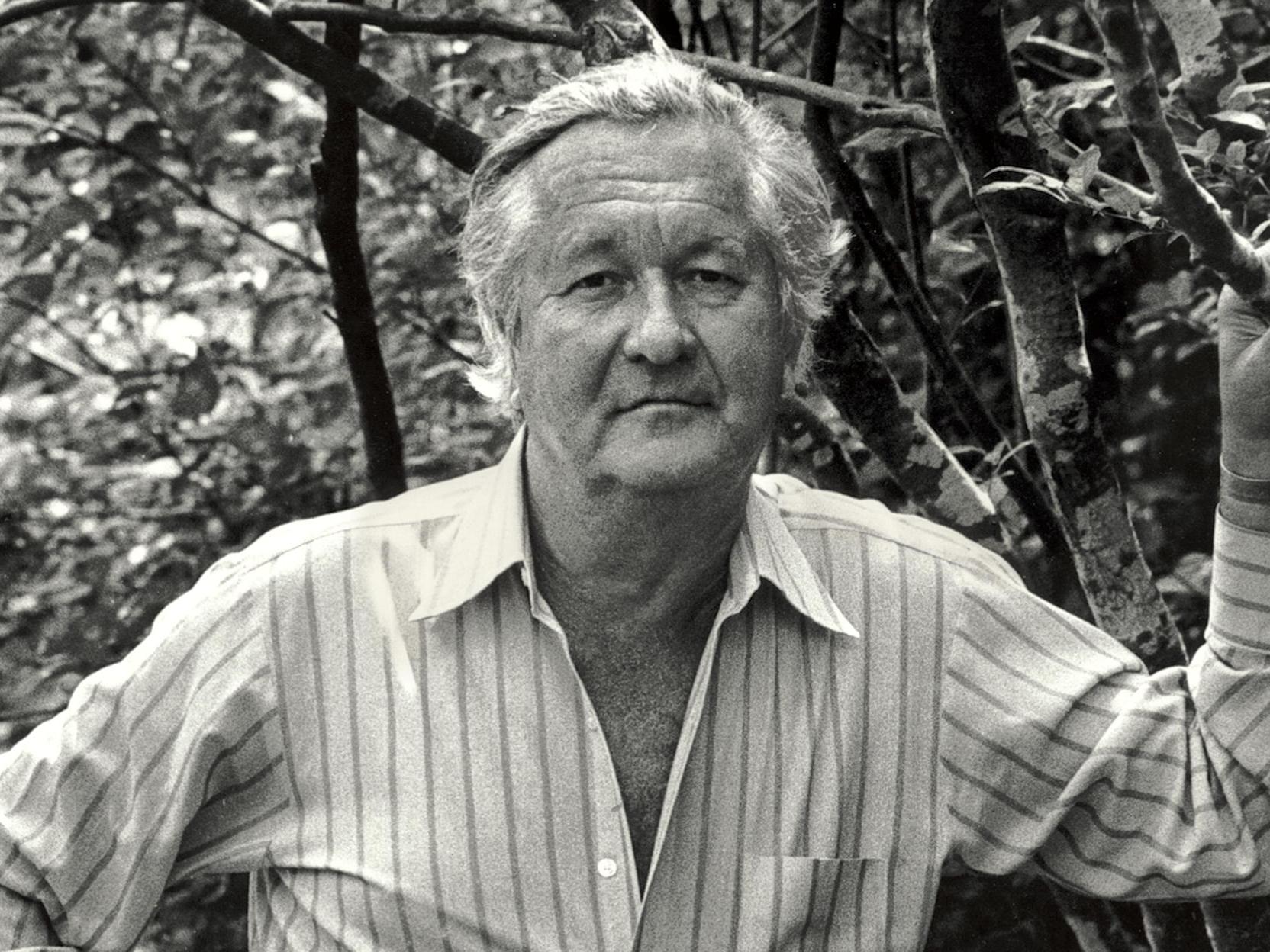 Esa visible oscuridad – William Styron